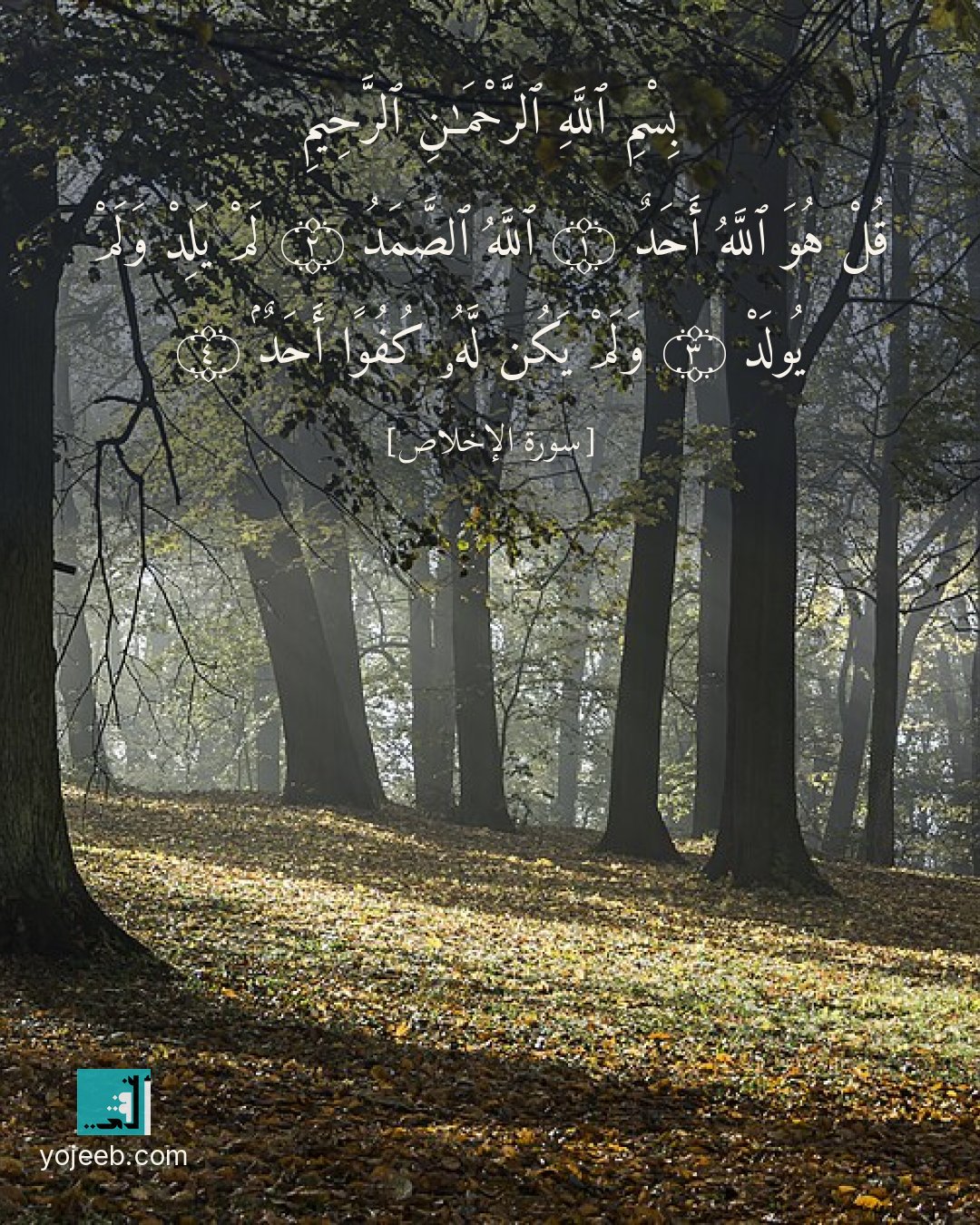 بطاقة دعاء مصورة — بسم الله الرحمن الرحيم قل هو