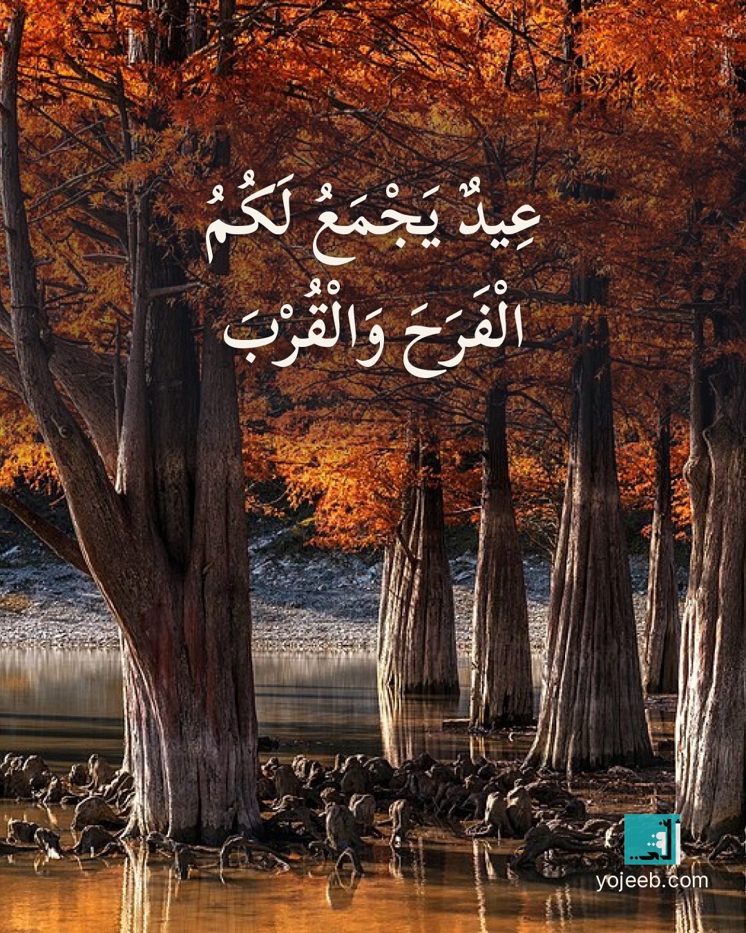 بطاقة تهنئة العيد — عيد يجمع لك الفرح والقرب