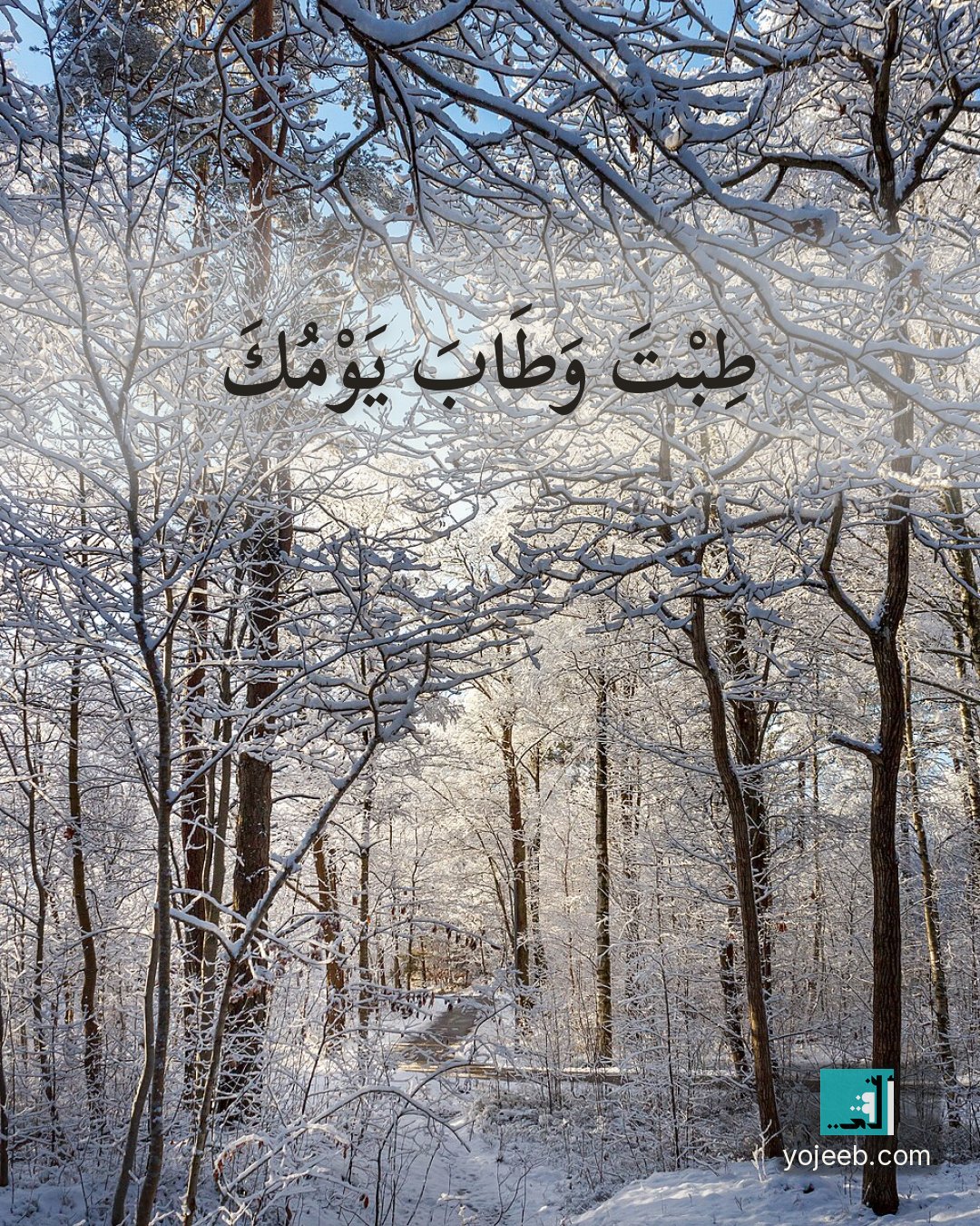 بطاقة صباح الخير — طبت وطاب يومك