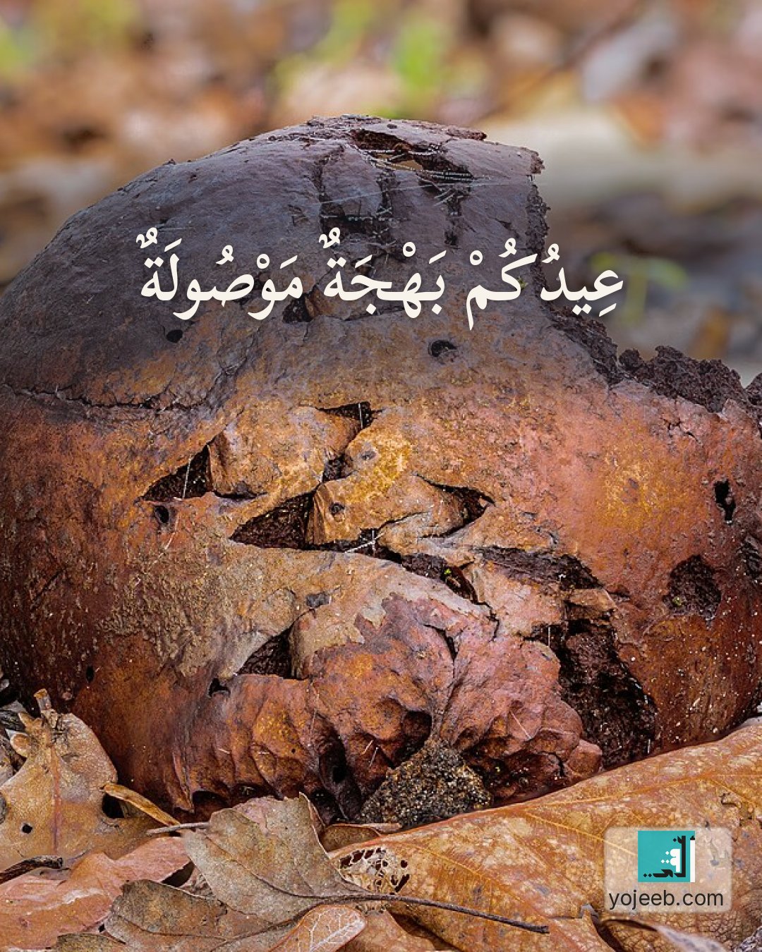بطاقة تهنئة العيد — عيدك بهجة موصولة
