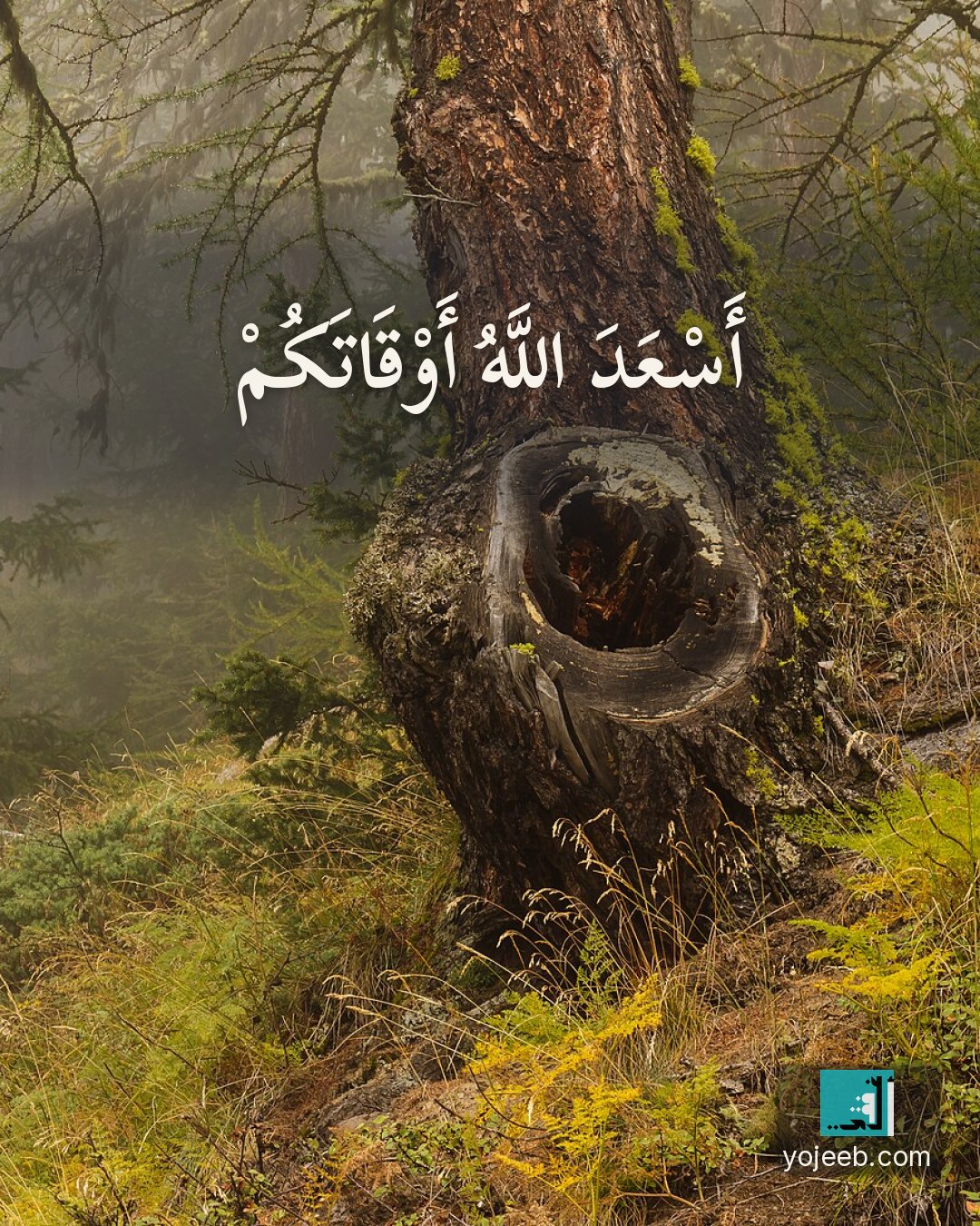 بطاقة آيات تريح القلب — أسعد الله أوقاتكم