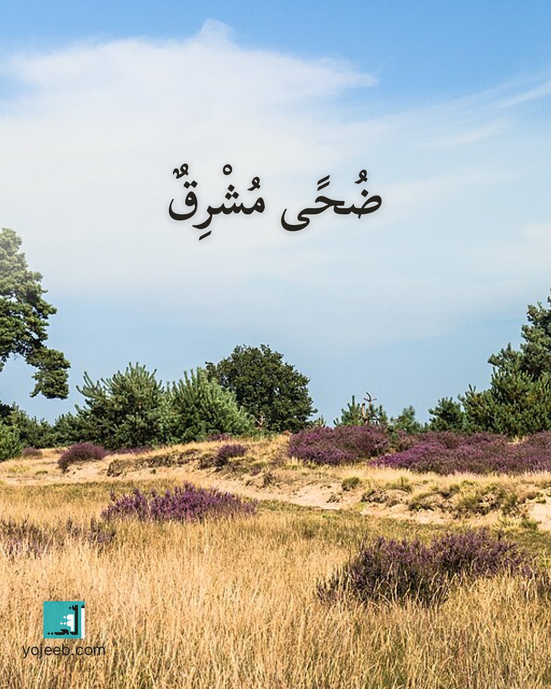 بطاقة الضحى على صورة شجرة — ضحى مشرق