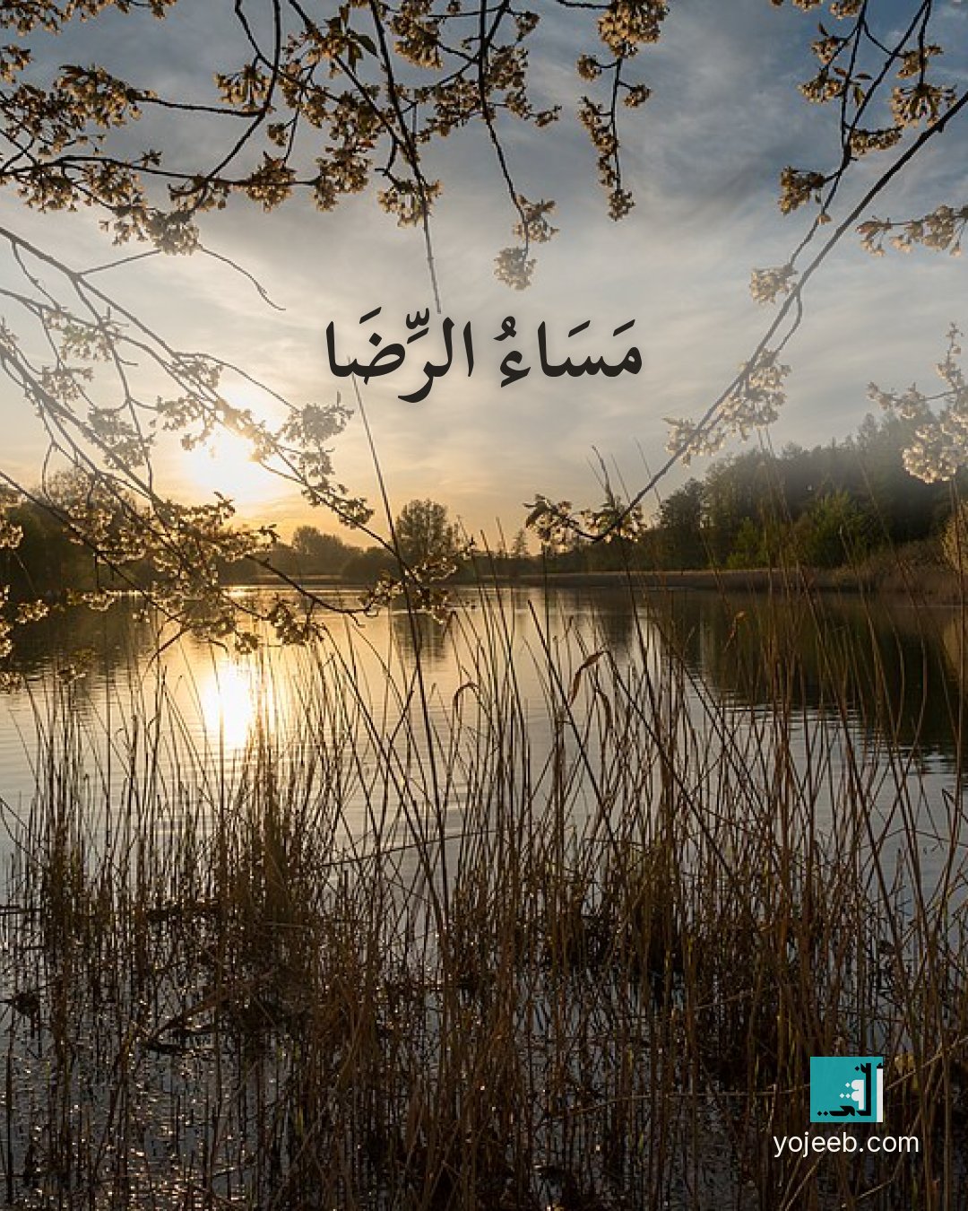 بطاقة مساء الخير على صورة غروب — مساء الرضا