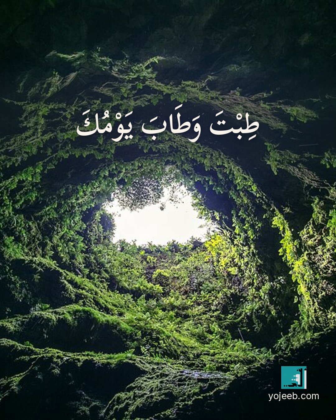 بطاقة صباح الخير — طبت وطاب يومك