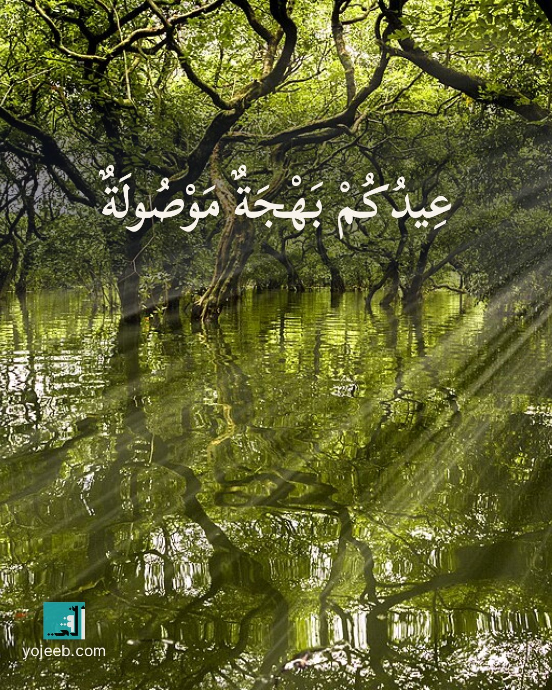 بطاقة تهنئة العيد — عيدك بهجة موصولة