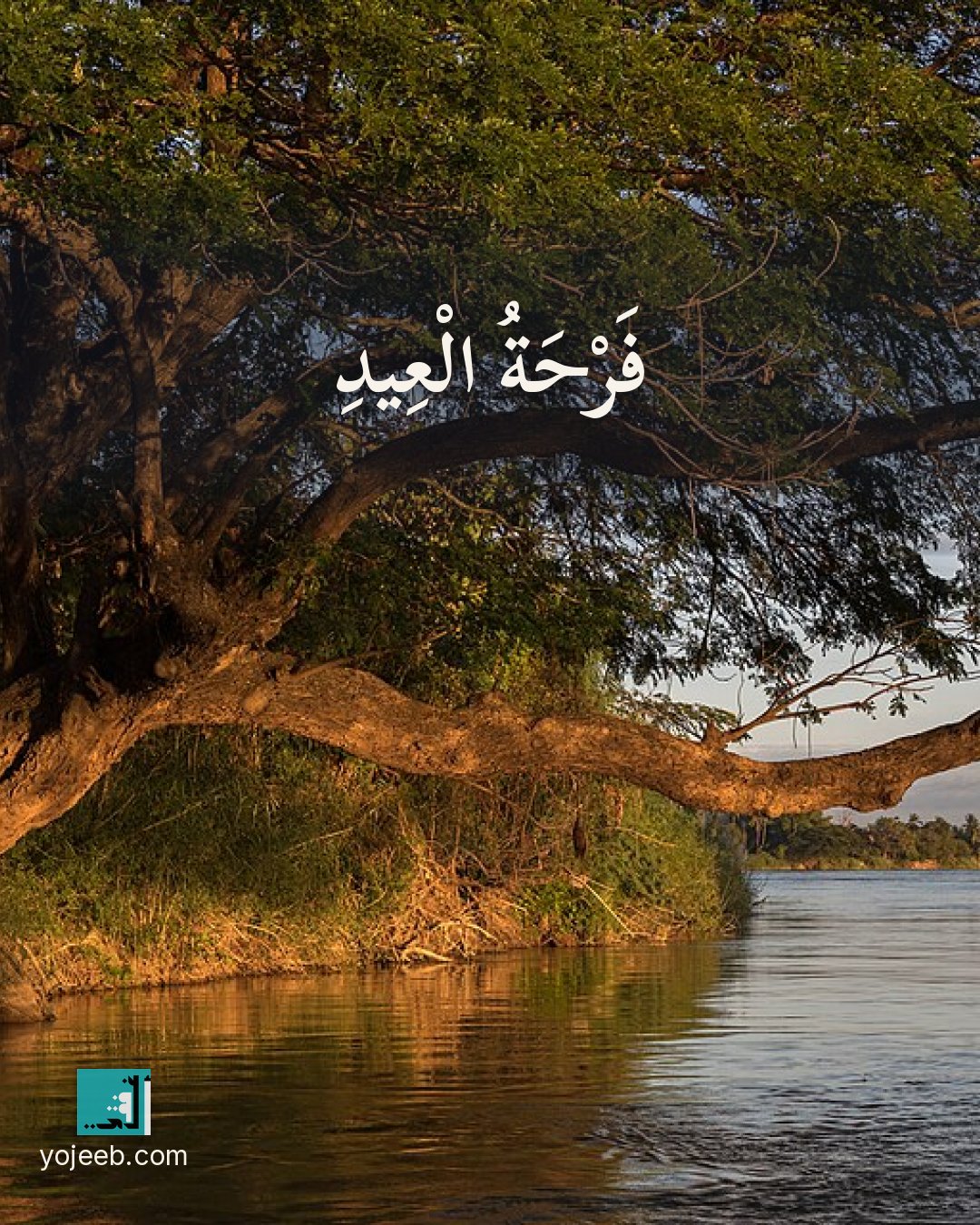 بطاقة تهنئة العيد على صورة شجرة — فرحة العيد