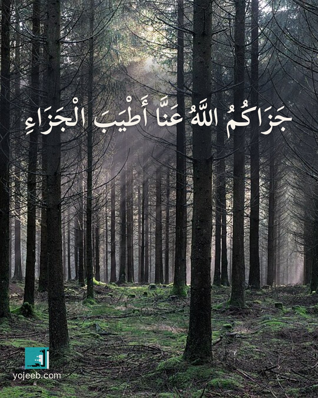 بطاقة الحمد لله على صورة غابة — جزاك الله عنا أطيب
