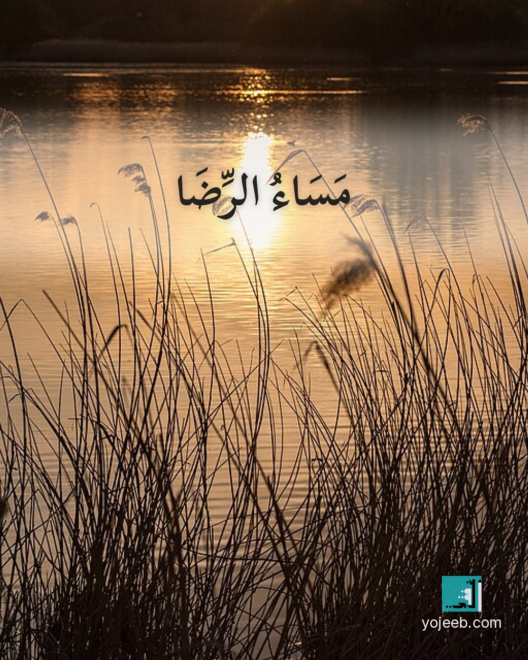 بطاقة مساء الخير على صورة غروب — مساء الرضا