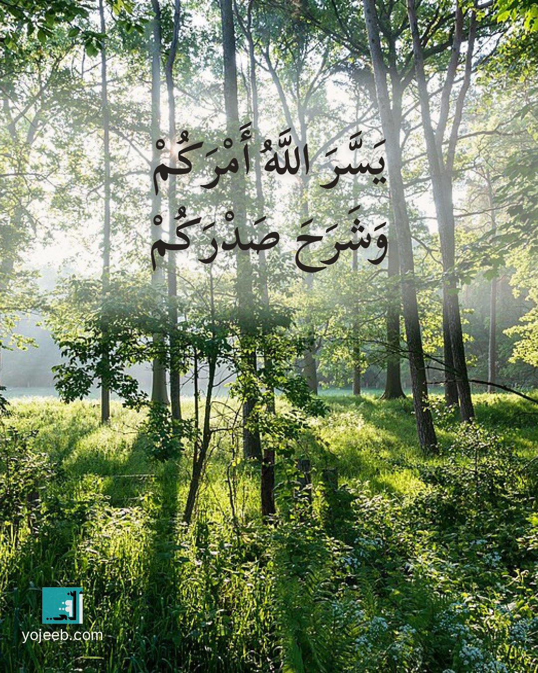 بطاقة تهنئة بالنجاح — يسر الله أمرك وشرح صدرك