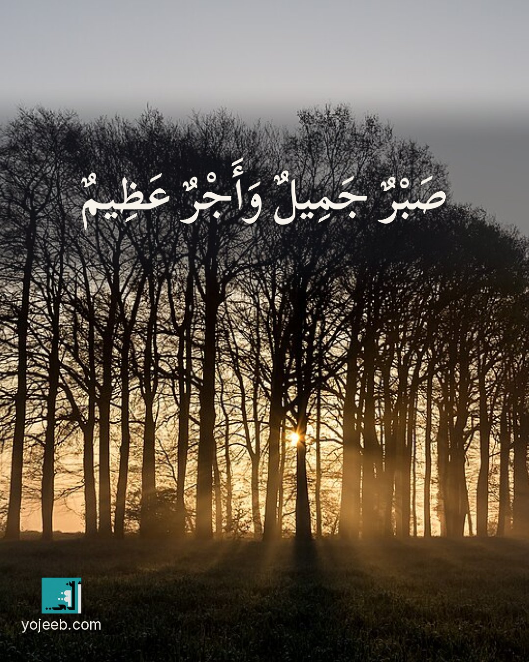 بطاقة عزاء ومواساة — صبر جميل وأجر عظيم