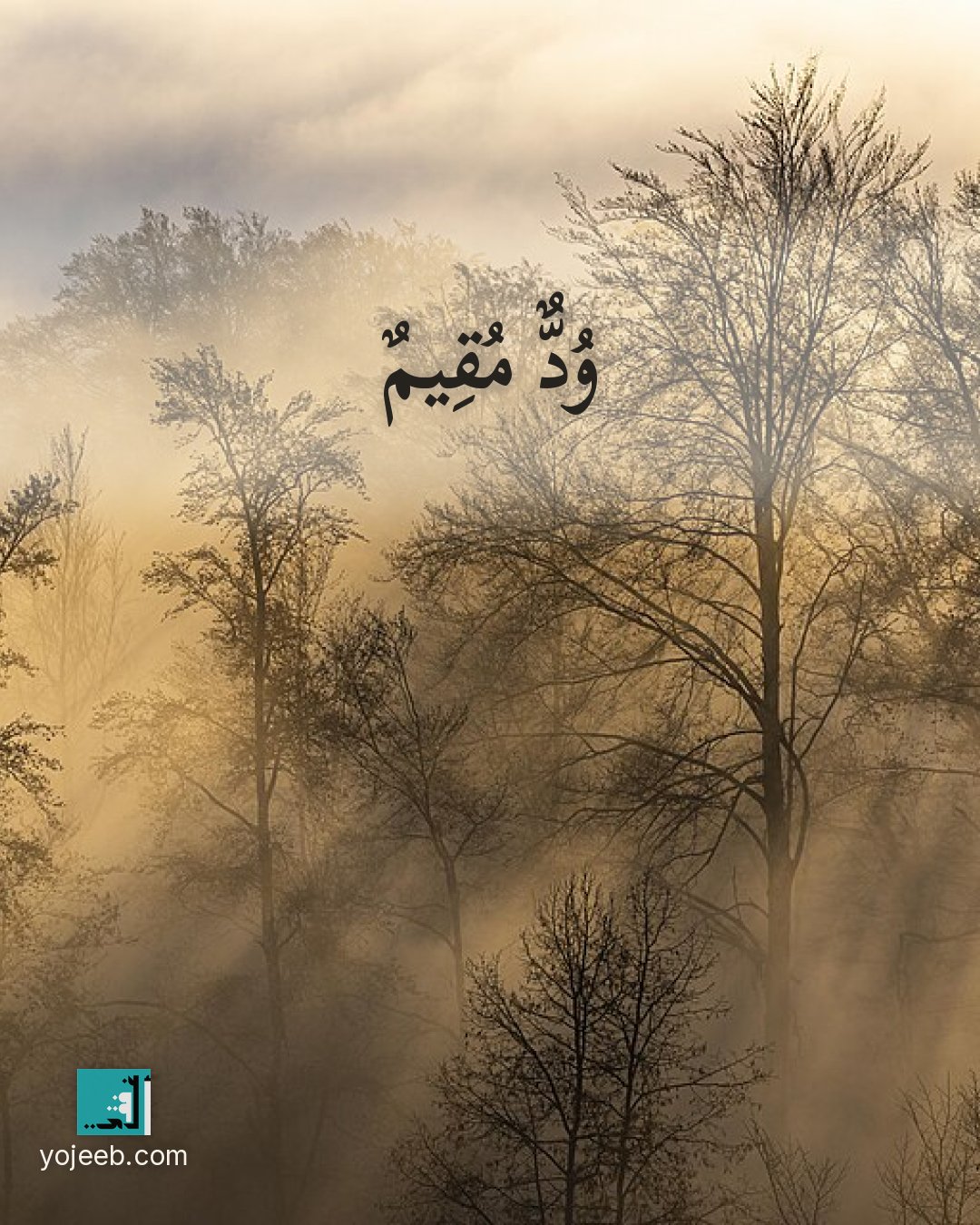بطاقة اشتياق على صورة ضباب — ود مقيم
