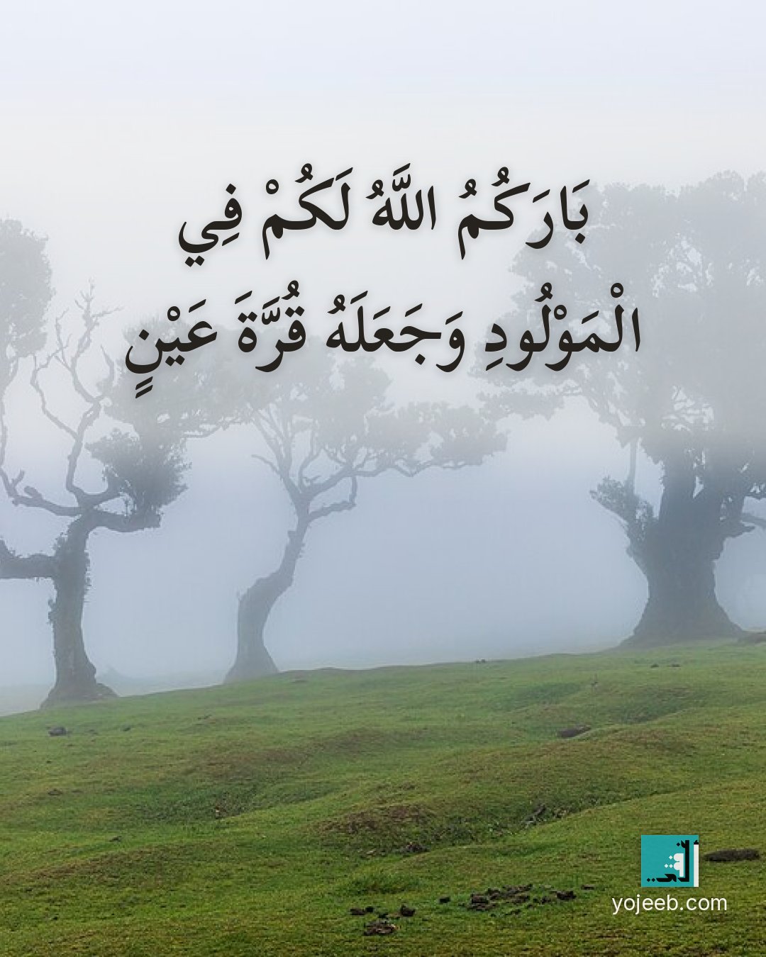 بطاقة تهنئة بالمولود — بارك الله لكم في المولود