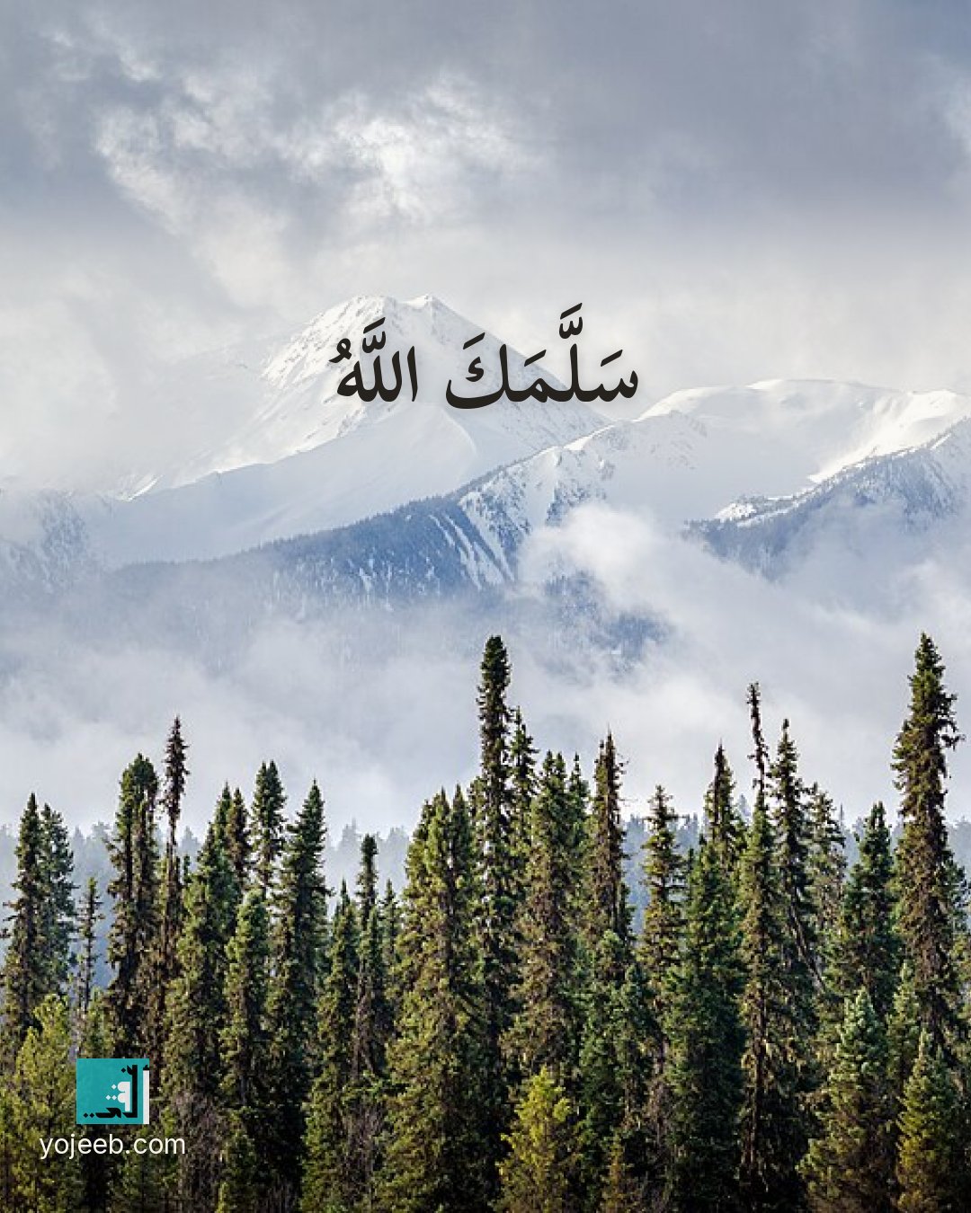 بطاقة آيات تريح القلب على صورة غابة — سلمك الله