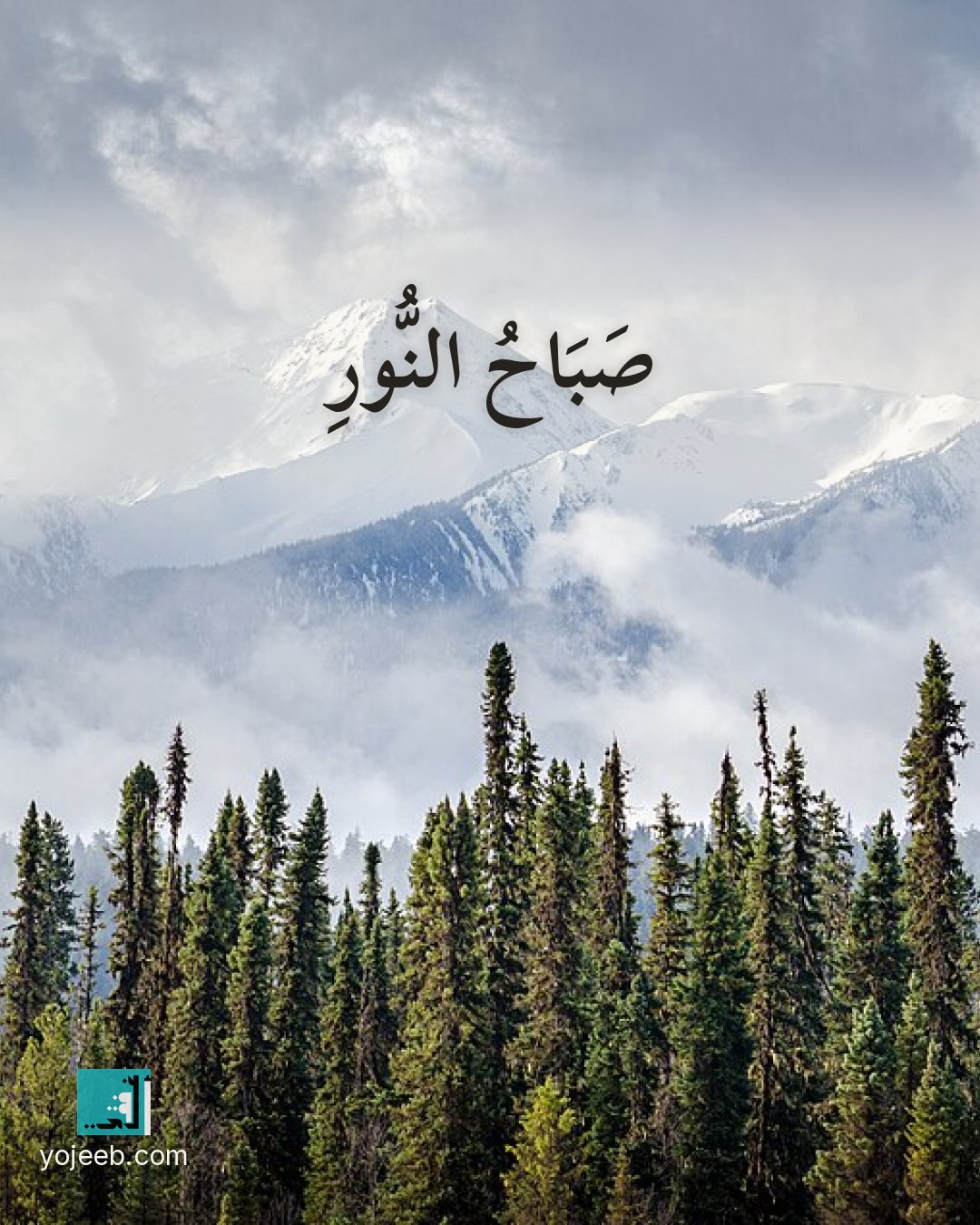 بطاقة صباح الخير على صورة غابة — صباح النور