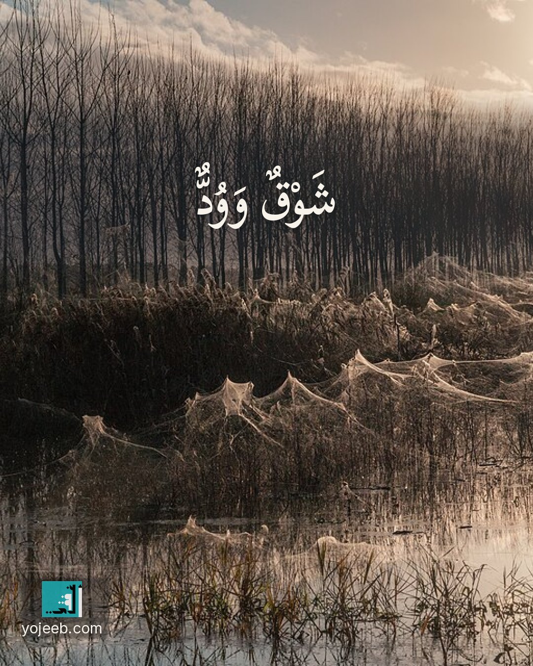 بطاقة اشتياق — شوق وود