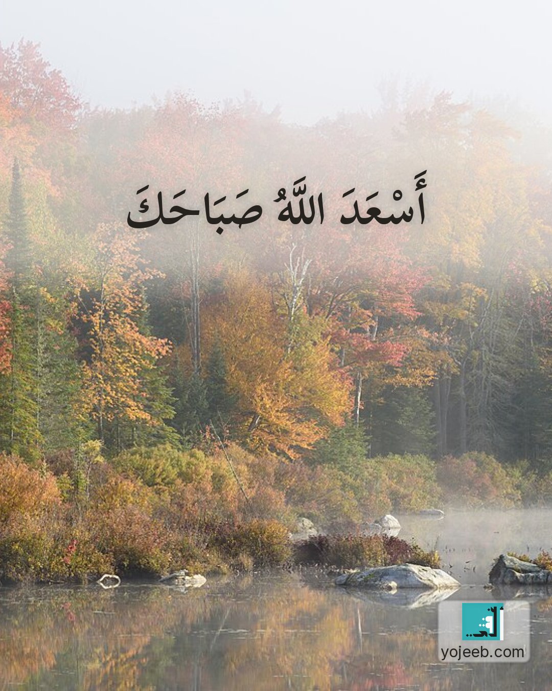 بطاقة صباح الخير على صورة غابة — أسعد الله صباحك