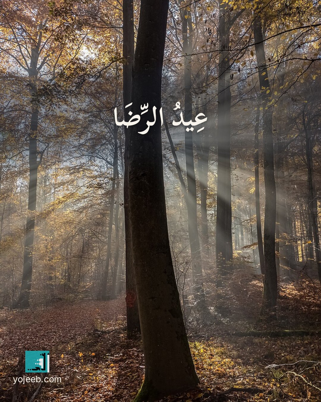 بطاقة تهنئة العيد على صورة غابة — عيد الرضا