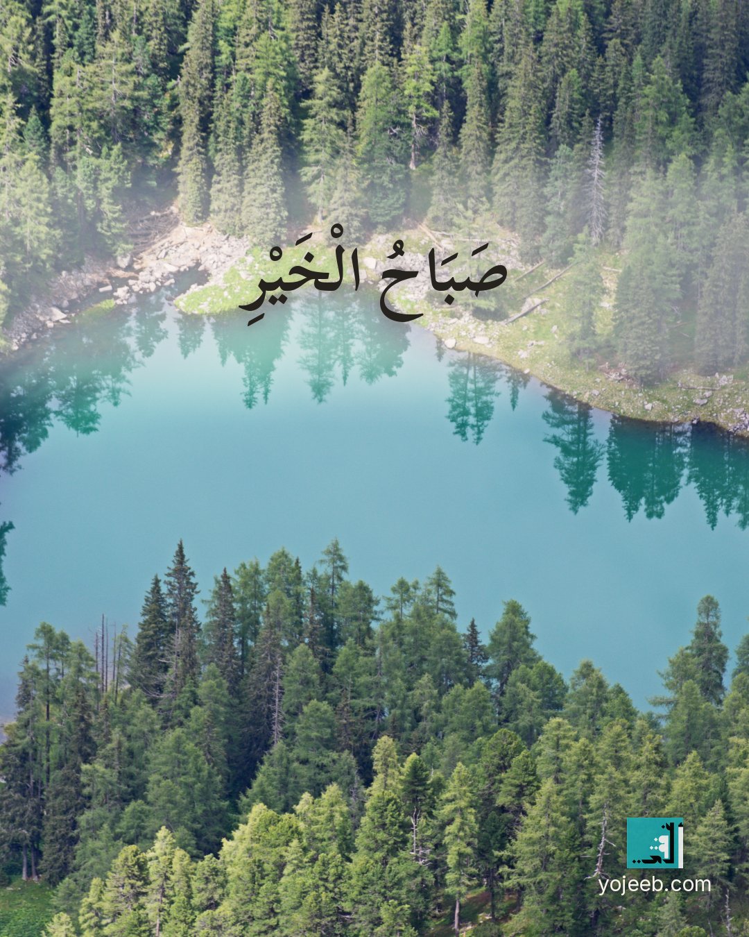 بطاقة صباح الخير على صورة طبيعة خلابة — صباح الخير