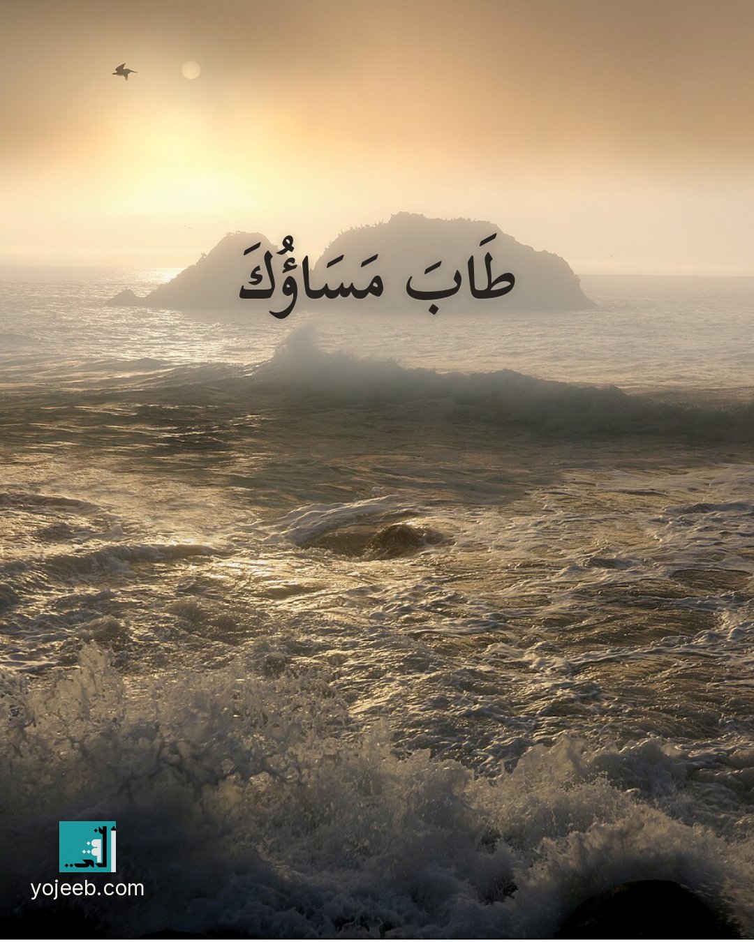 بطاقة مساء الخير — طاب مساؤك