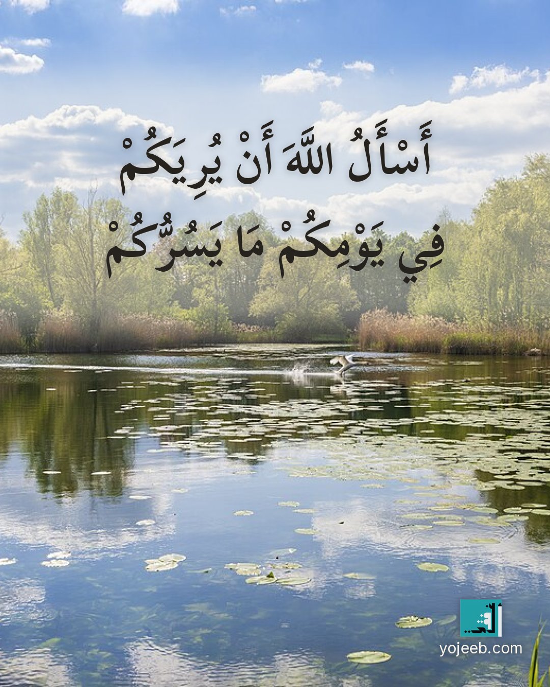 بطاقة صباح الخير — أسأل الله أن يريك في يومك