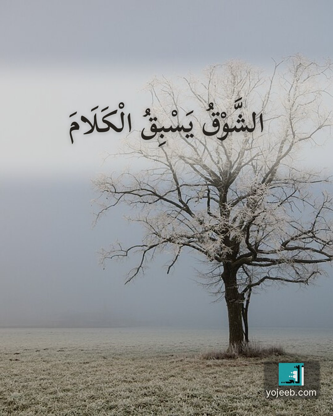 بطاقة اشتياق — الشوق يسبق الكلام