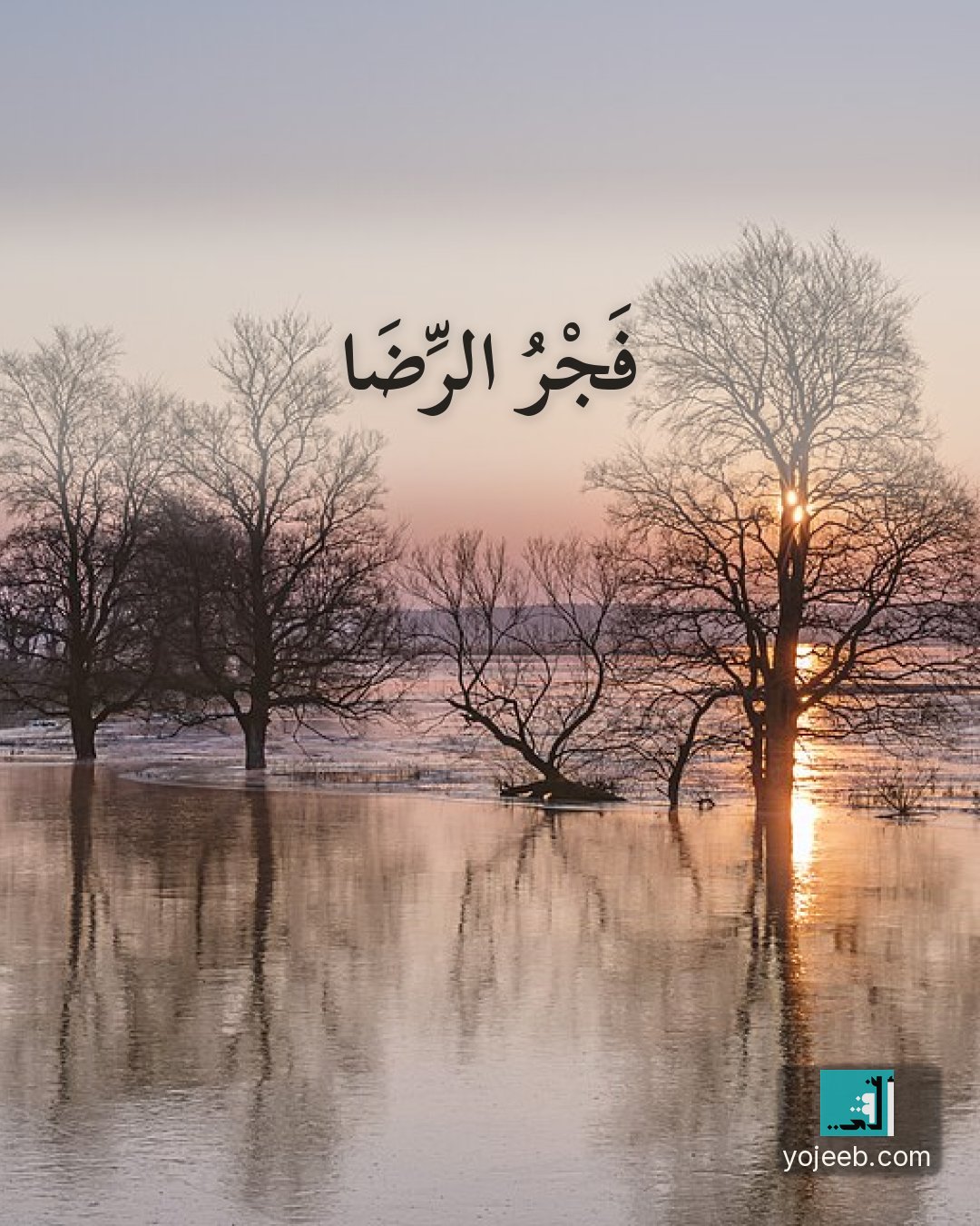 بطاقة الفجر — فجر الرضا