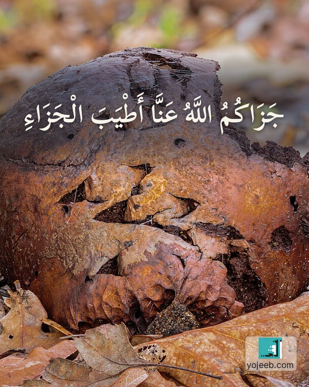 بطاقة الحمد لله — جزاك الله عنا أطيب الجزاء
