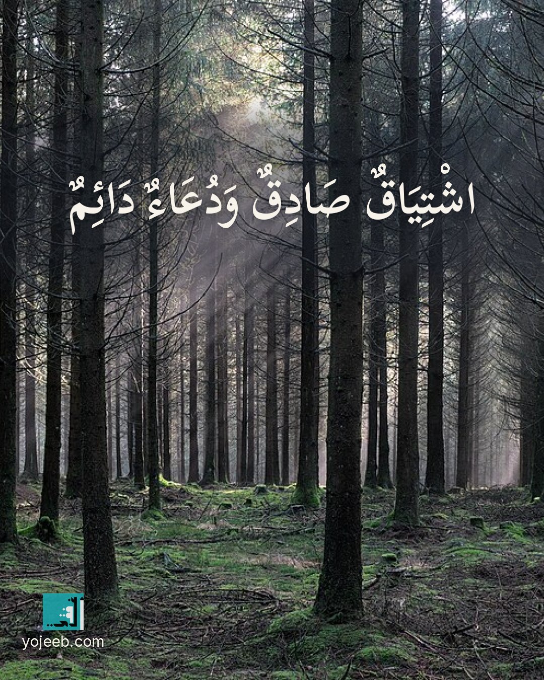 بطاقة اشتياق على صورة غابة — اشتياق صادق ودعاء دائم