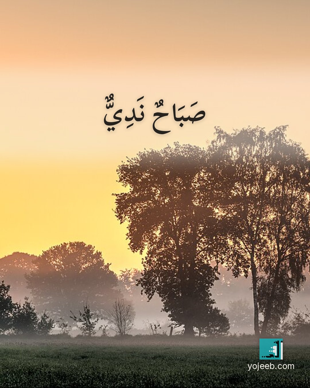بطاقة صباح الخير — صباح ندي