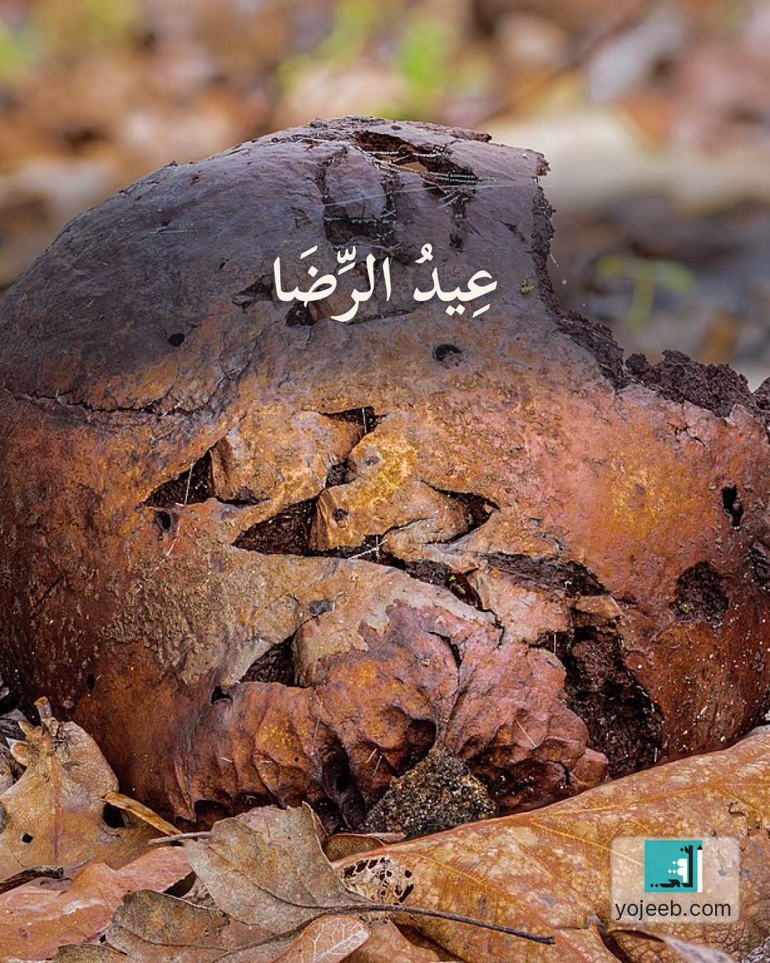 بطاقة تهنئة العيد على صورة طبيعة خلابة — عيد الرضا