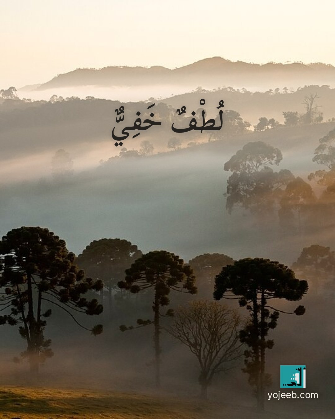 بطاقة آيات تريح القلب — لطف خفي