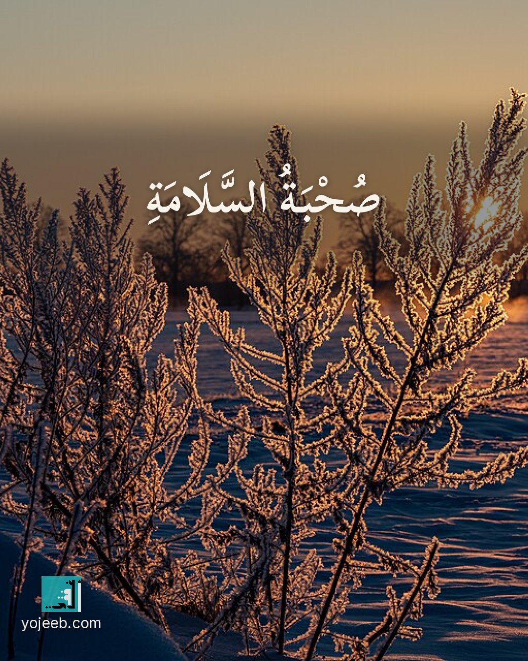 بطاقة دعاء السفر — صحبة السلامة