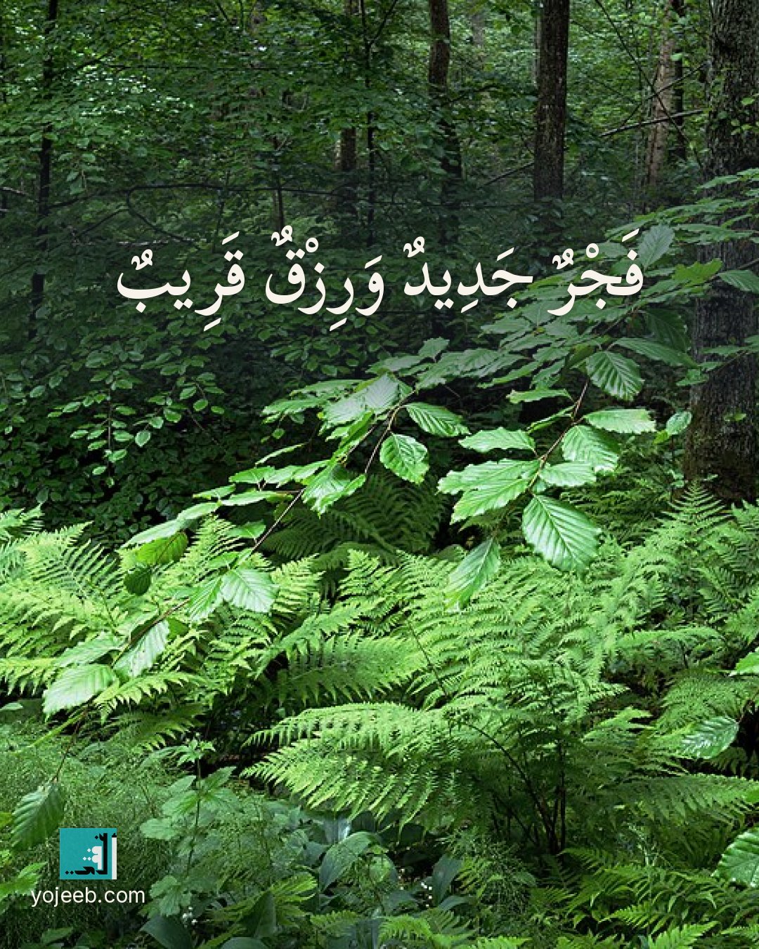 بطاقة الفجر — فجر جديد ورزق قريب