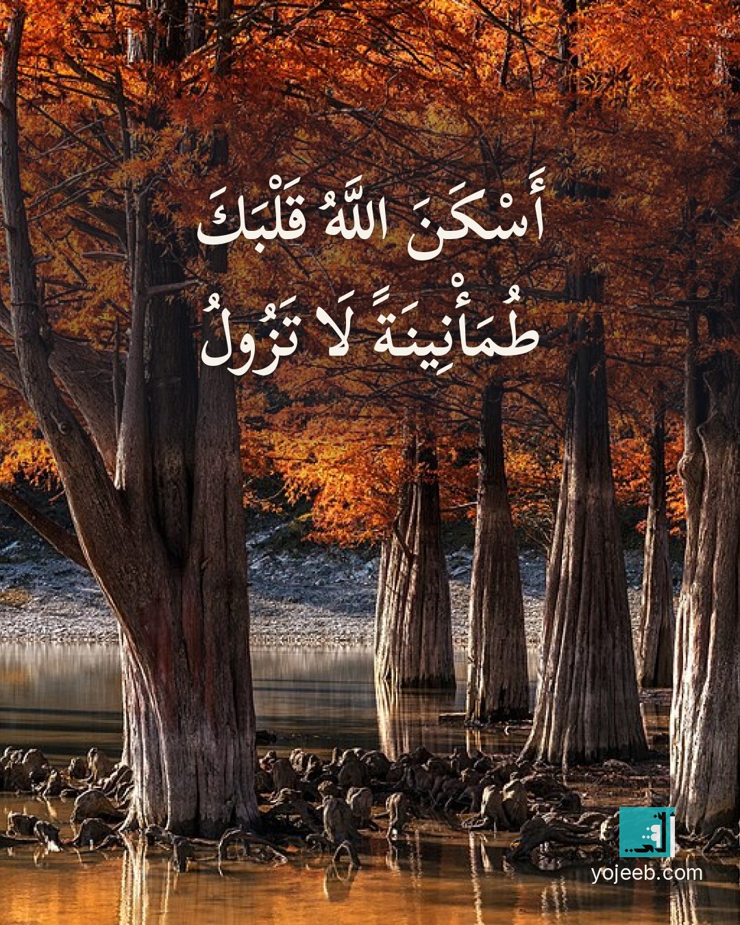 بطاقة آيات تريح القلب — أسكن الله قلبك طمأنينة