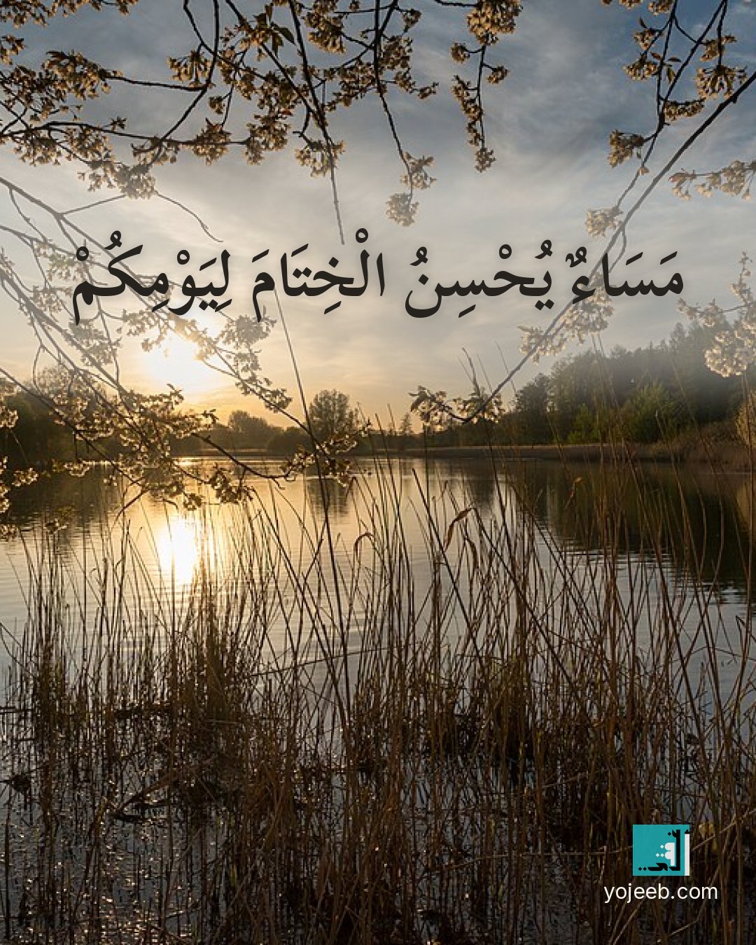 بطاقة مساء الخير — مساء يحسن الختام ليومك
