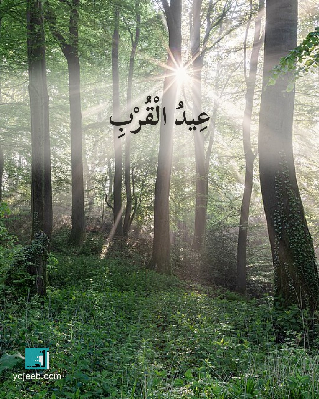 بطاقة اشتياق على صورة غابة — عيد القرب