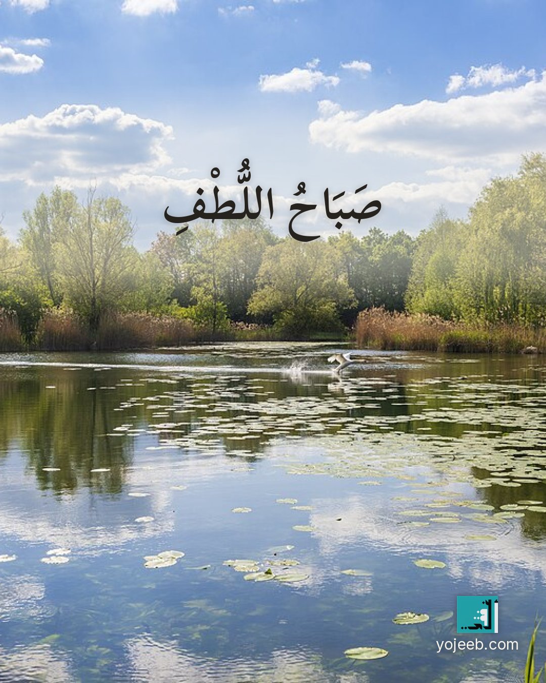 بطاقة صباح الخير — صباح اللطف