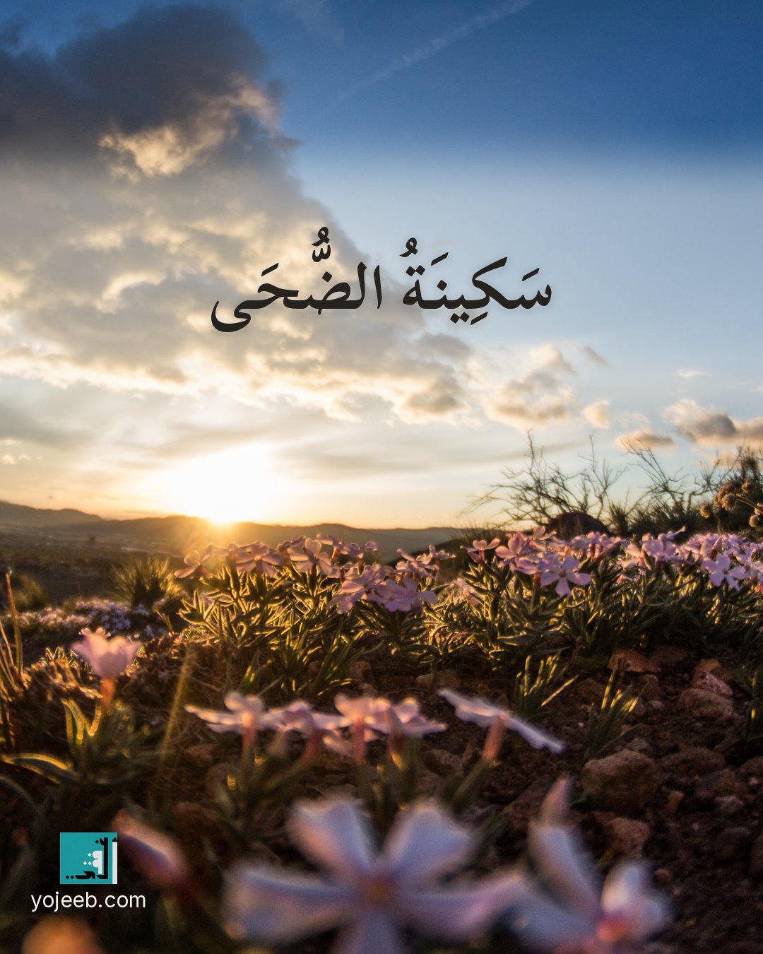 بطاقة الضحى على صورة طبيعة خلابة — سكينة الضحى