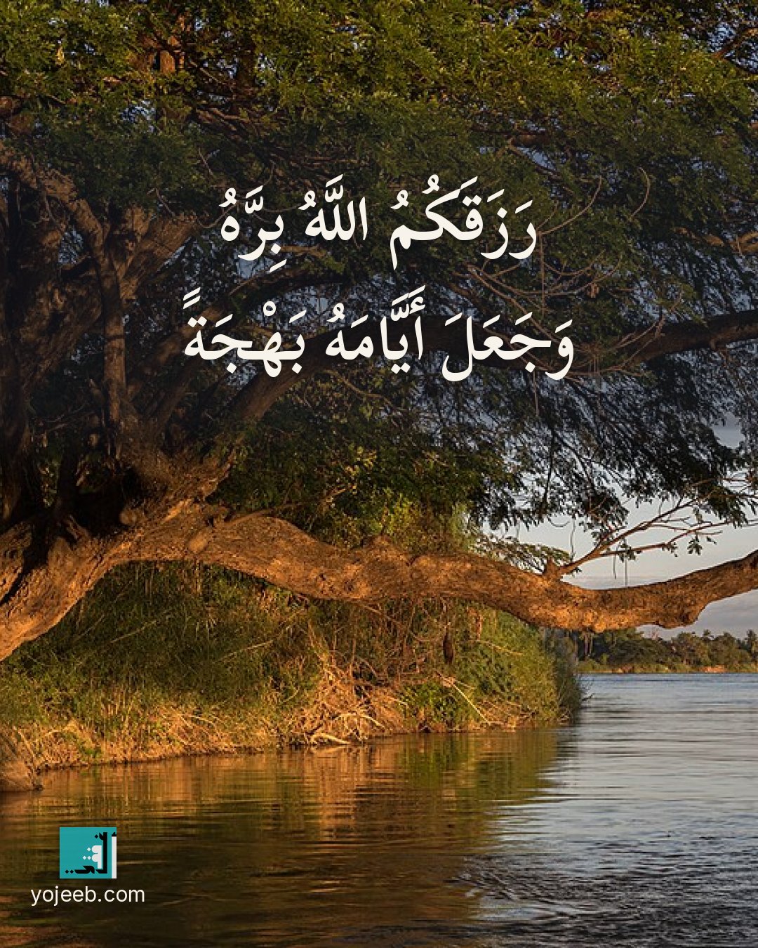 بطاقة تهنئة بالمولود — رزقكم الله بره وجعل أيامه
