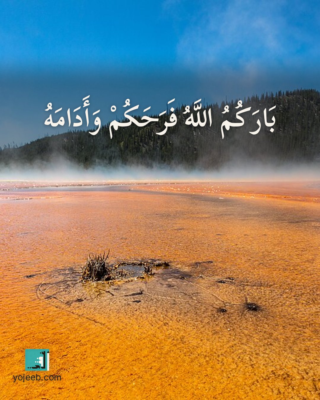 بطاقة تهنئة — بارك الله فرحكم وأدامه