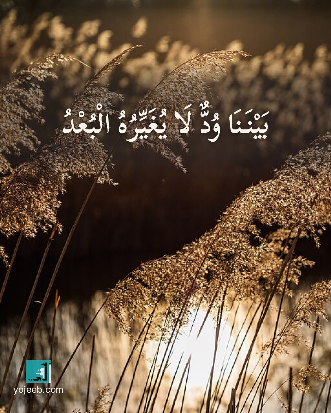 بطاقة اشتياق — بيننا ود لا يغيره البعد