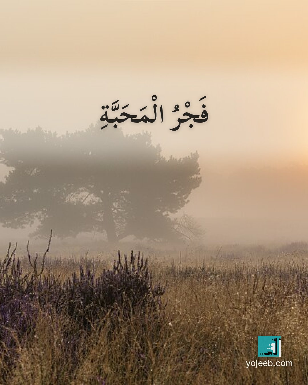 بطاقة الفجر — فجر المحبة