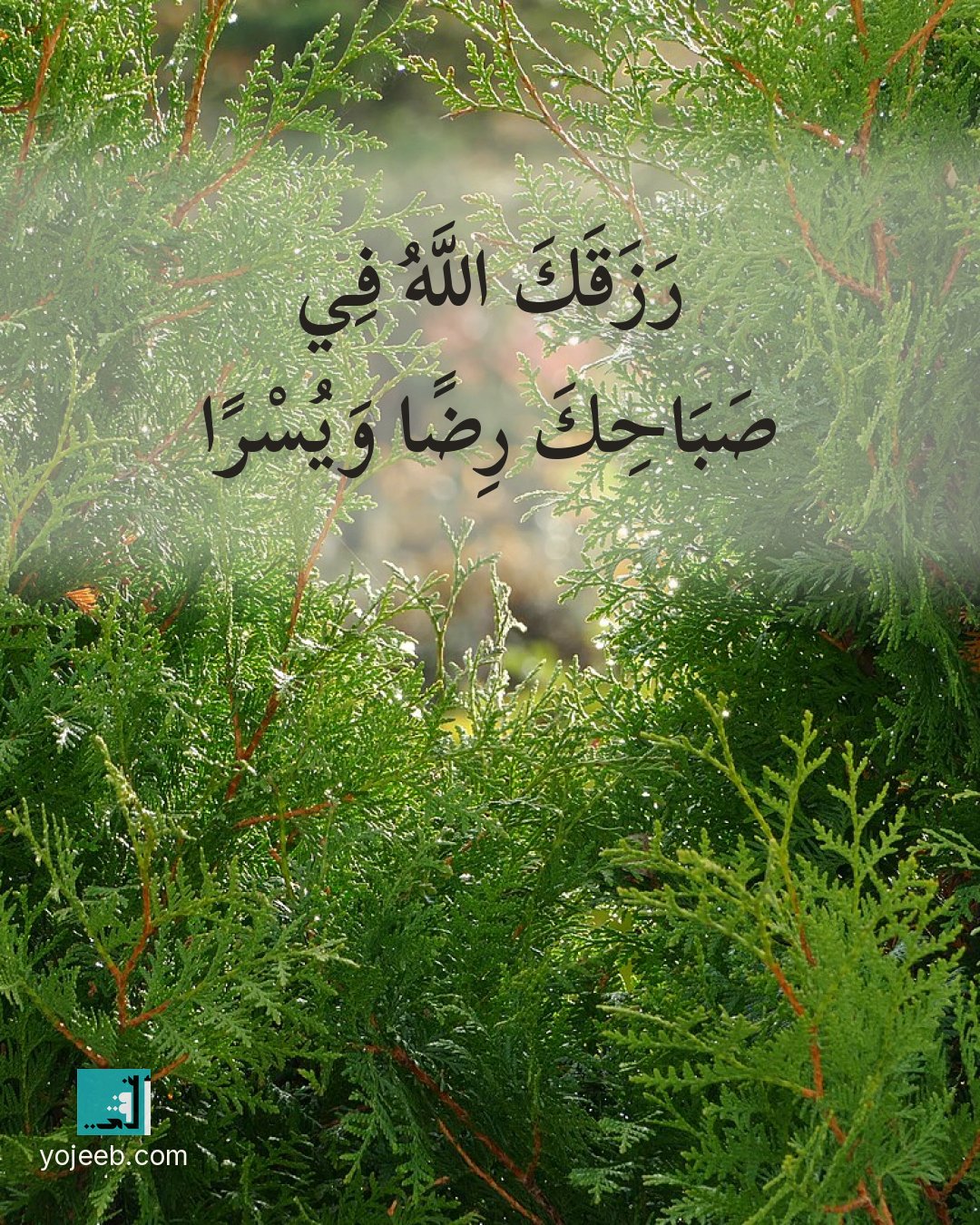 بطاقة دعاء الرزق — رزقك الله في صباحك رضا ويسرا