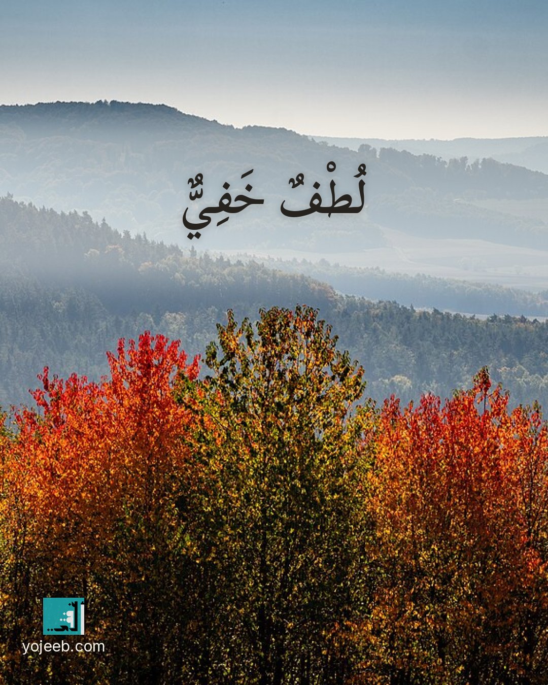 بطاقة آيات تريح القلب — لطف خفي