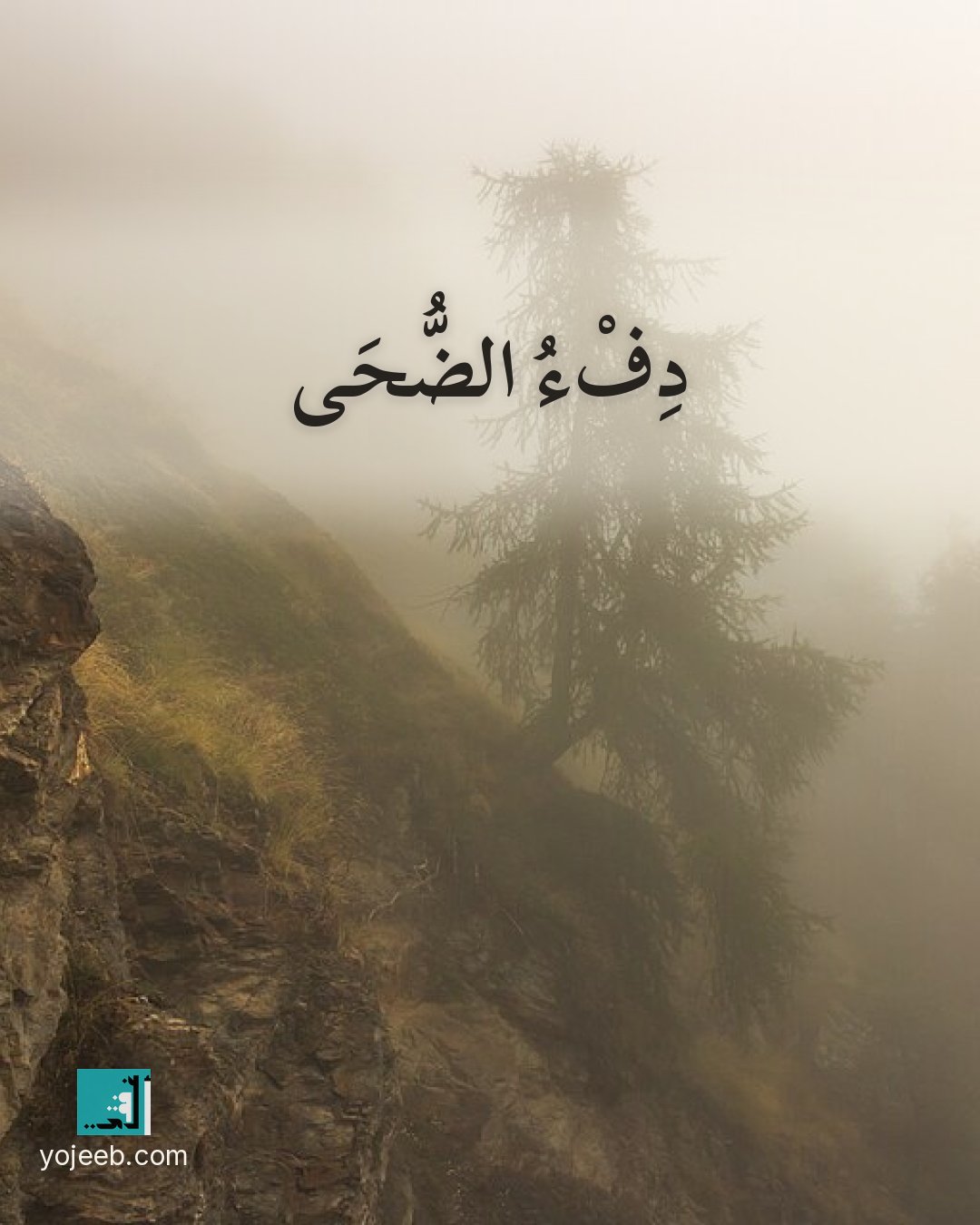 بطاقة الضحى على صورة شجرة — دفء الضحى