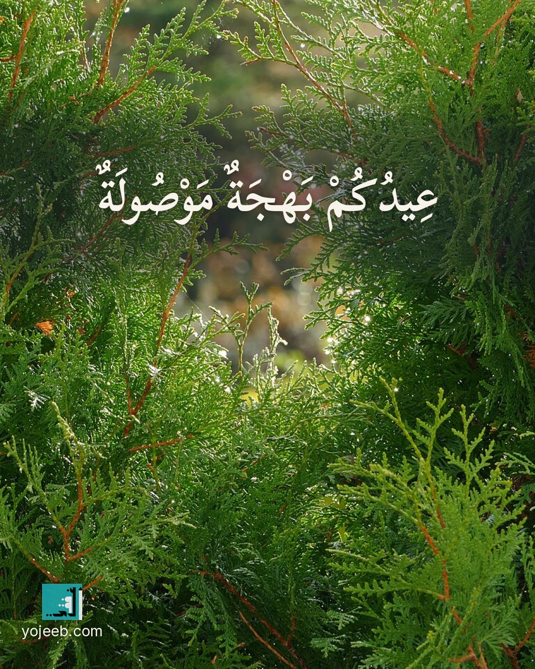 بطاقة تهنئة العيد — عيدك بهجة موصولة