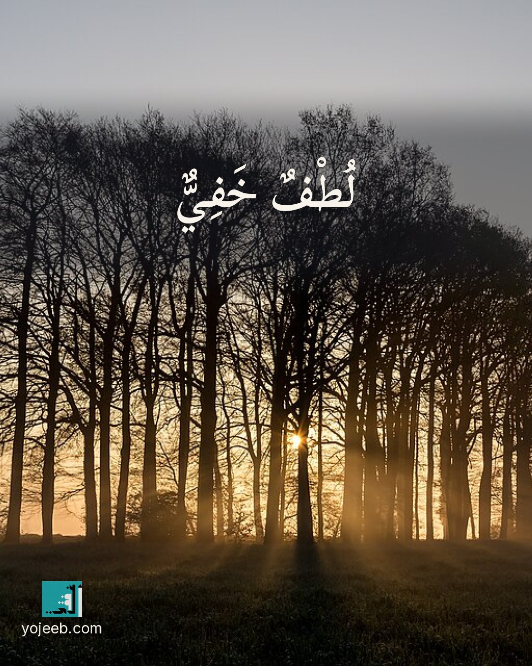 بطاقة آيات تريح القلب — لطف خفي