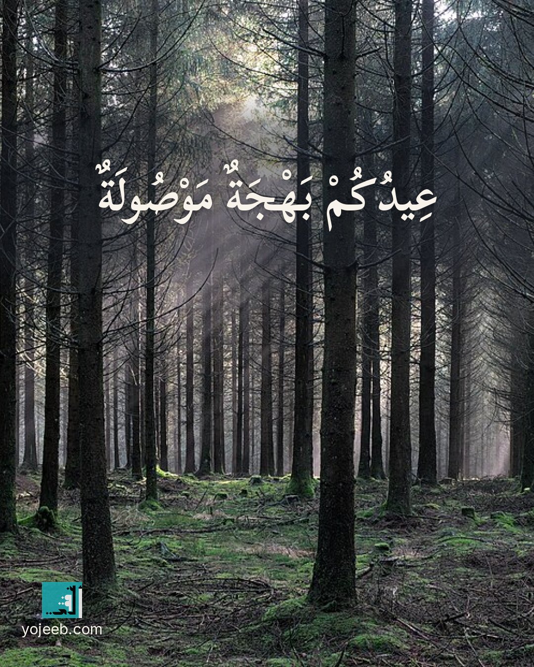 بطاقة تهنئة العيد على صورة غابة — عيدك بهجة موصولة