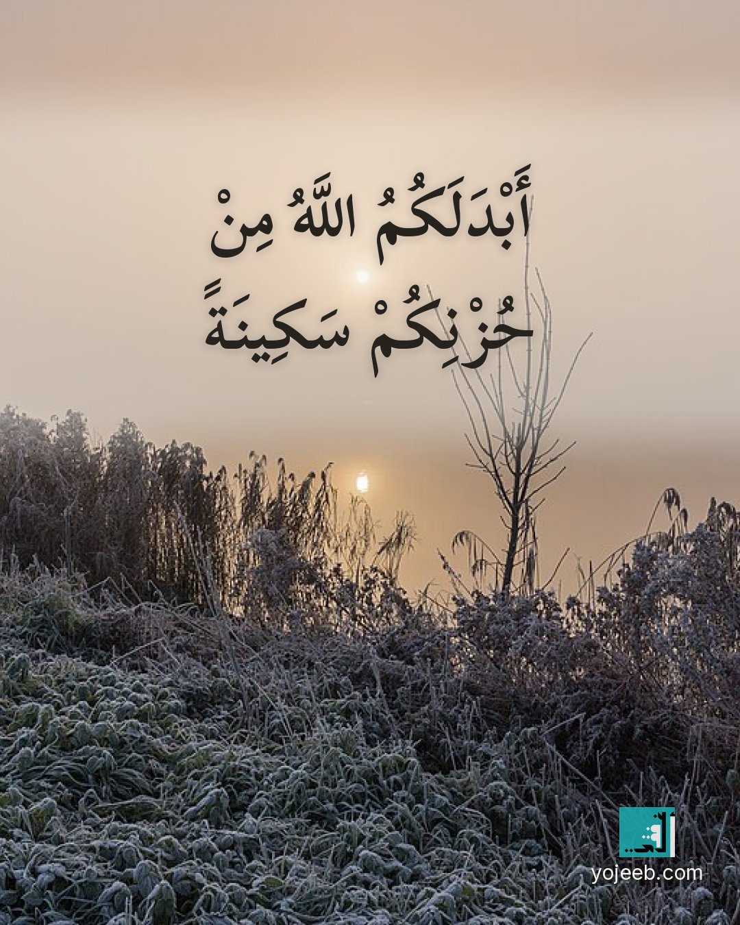 بطاقة عزاء ومواساة — أبدلكم الله من حزنكم سكينة