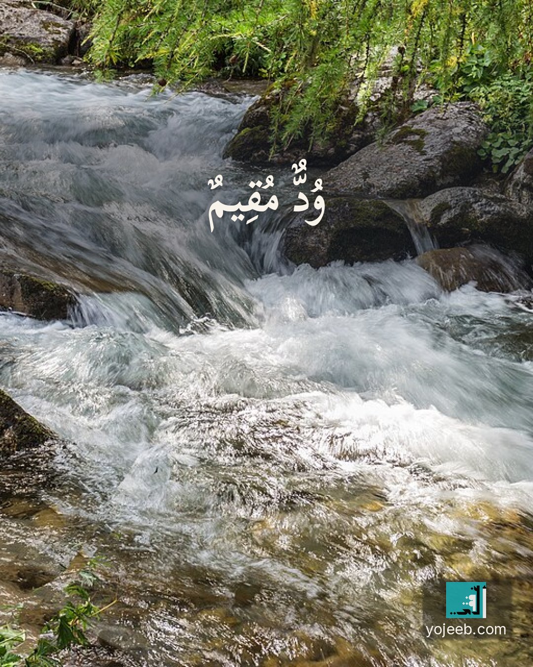 بطاقة اشتياق — ود مقيم